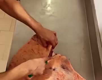 Desossa na Casa de Carnes Bastos